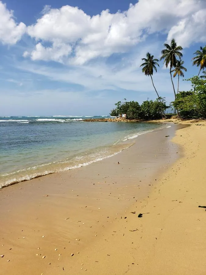 Beach Villas Dorado Puerto Rico